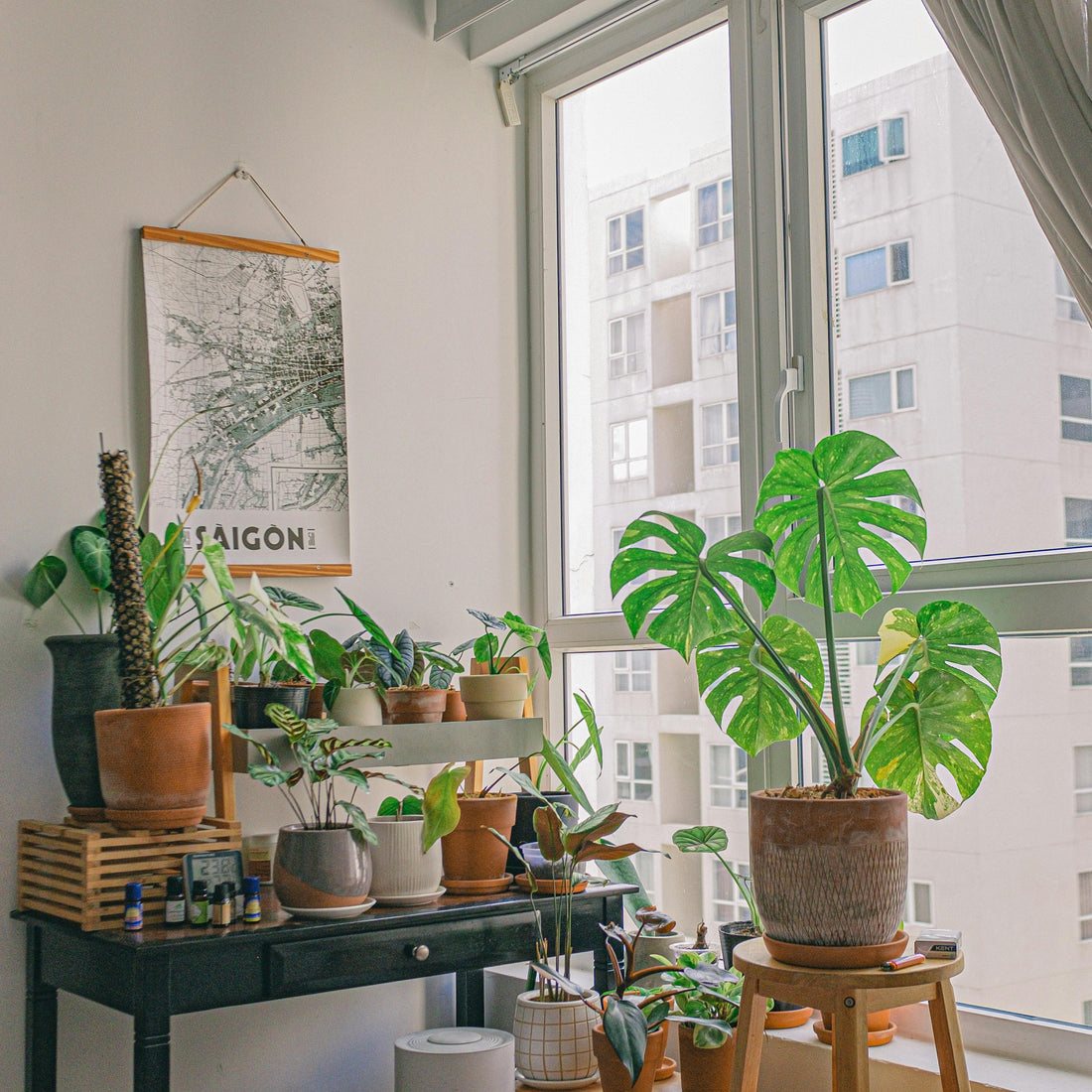 The Psychology of Plants: Why Planters Improve Mood