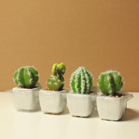 5 Ways to Style Your Home with Modern Planters