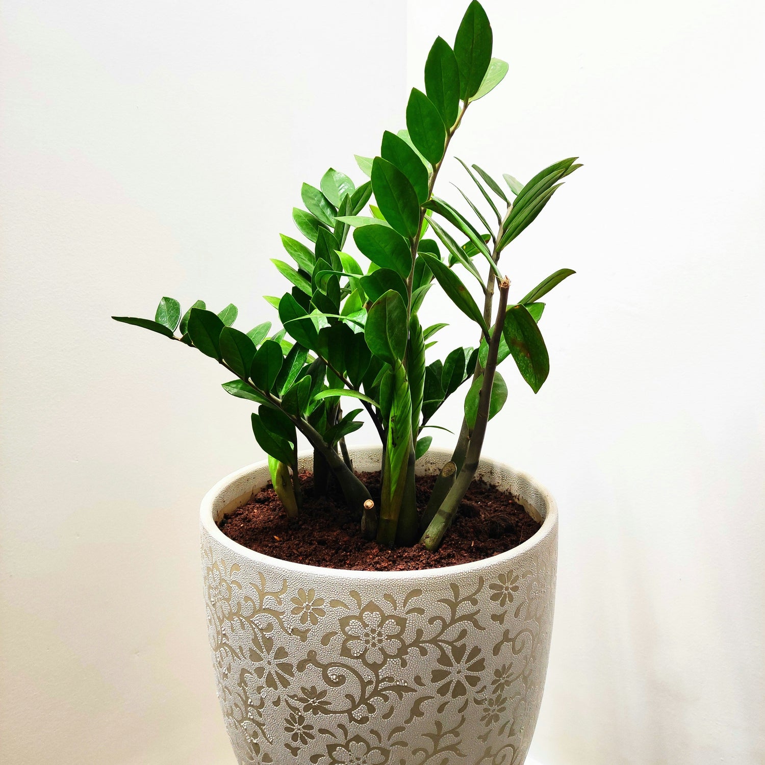 Floral Pots & Planters