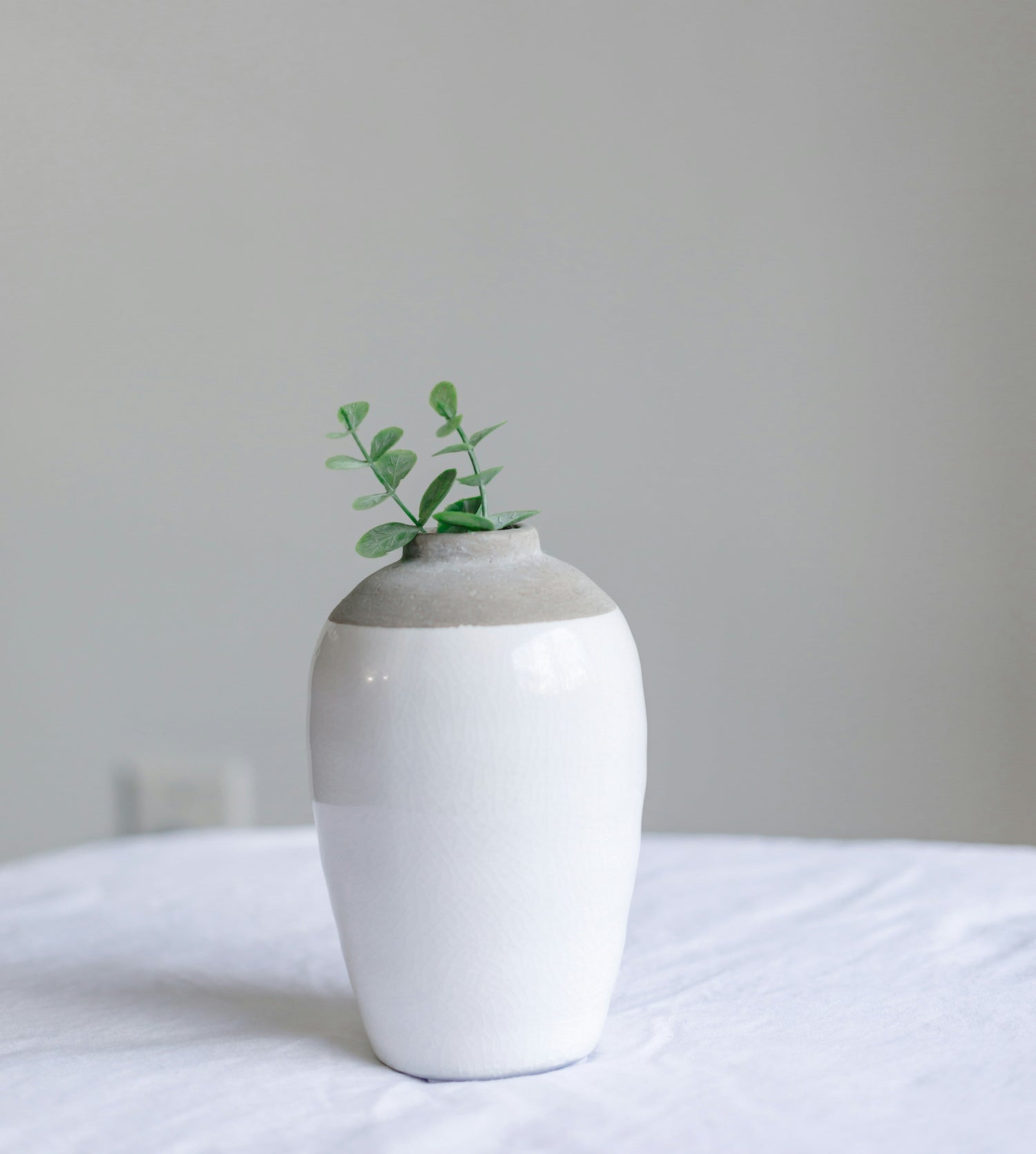 Ceramic Pots & Planters